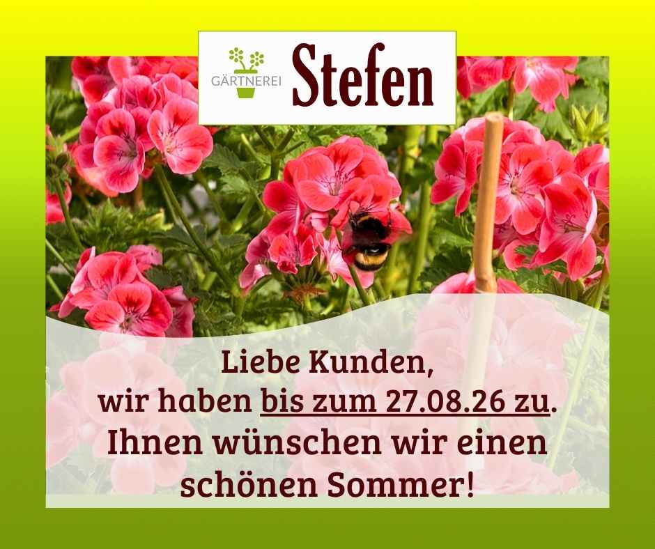 Wir haben bis zum 27.08.2026 geschlossen